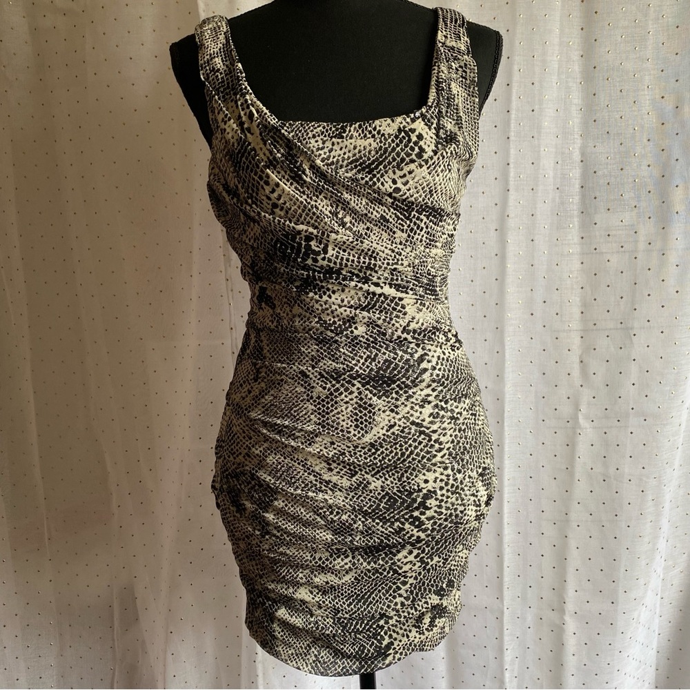 Express animal print fitted dress